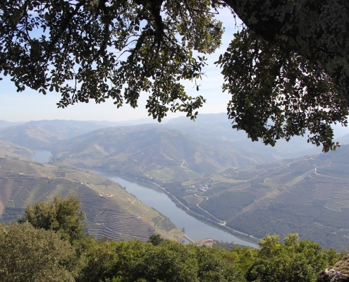 Vallée du Douro Portugal Europe Voyage