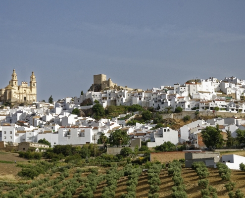 Vue d'Olvera Espagne Europe Voyage
